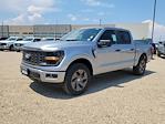 2025 Ford F-150 SuperCrew Cab 4x4 Pickup for sale #335898 - photo 4