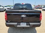 2025 Ford F-150 SuperCrew Cab 4x4 Pickup for sale #335914 - photo 9