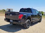 2025 Ford F-150 SuperCrew Cab 4x4 Pickup for sale #335926 - photo 2