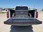 2025 Ford F-150 SuperCrew Cab 4x4 Pickup for sale #335927 - photo 11