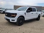 2025 Ford F-150 SuperCrew Cab 4x4 Pickup for sale #335934 - photo 7