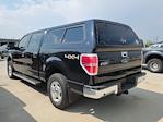 2014 Ford F-150 SuperCrew Cab 4x4 Pickup for sale #335998B - photo 2