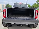 2025 Ford F-350 Crew Cab DRW 4x4 Pickup for sale #336013 - photo 14