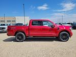 2025 Ford F-150 SuperCrew Cab 4WD Pickup for sale #336029 - photo 3