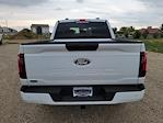 2025 Ford F-150 SuperCrew Cab 4x4 Pickup for sale #336078 - photo 4