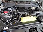 2025 Ford F-150 Regular Cab 4x4 Pickup for sale #336113 - photo 18