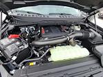 2025 Ford F-150 SuperCrew Cab 4WD Pickup for sale #336120 - photo 15