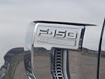 2025 Ford F-150 SuperCrew Cab 4WD Pickup for sale #336136 - photo 12