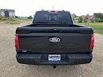 2025 Ford F-150 SuperCrew Cab 4WD Pickup for sale #336136 - photo 4
