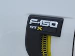 2025 Ford F-150 SuperCrew Cab 4WD Pickup for sale #336281 - photo 10