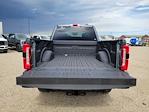 2026 Ford F-350 Crew Cab SRW 4WD Pickup for sale #336290 - photo 10
