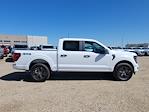 2025 Ford F-150 SuperCrew Cab 4WD Pickup for sale #336303 - photo 3