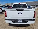 2025 Ford F-150 SuperCrew Cab 4WD Pickup for sale #336349 - photo 9