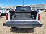 2025 Ford F-150 SuperCrew Cab 4WD Pickup for sale #336350 - photo 10