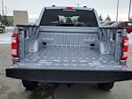 2023 Ford F-150 SuperCrew Cab 4WD Pickup for sale #336356C - photo 14