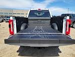 2025 Ford F-350 Crew Cab SRW 4WD Pickup for sale #336357 - photo 12