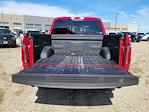2025 Ford F-150 SuperCrew Cab 4WD Pickup for sale #336373 - photo 10