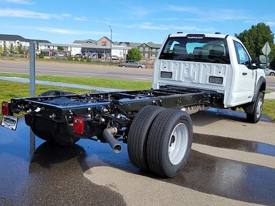 2026 Ford F-600 Regular Cab DRW 4WD Cab Chassis for sale #336375 - photo 2