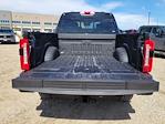 2026 Ford F-350 Crew Cab SRW 4WD Pickup for sale #336377 - photo 10