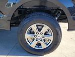 2020 Ford F-150 SuperCrew Cab 4WD Pickup for sale #336466A - photo 13