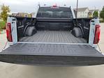 2025 Ford F-150 Super Cab 4WD Pickup for sale #336491 - photo 13