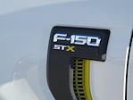 2025 Ford F-150 SuperCrew Cab 4WD Pickup for sale #336493 - photo 11