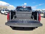 2025 Ford F-150 SuperCrew Cab 4WD Pickup for sale #336494 - photo 11