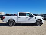 2025 Ford F-150 SuperCrew Cab 4WD Pickup for sale #336511 - photo 3