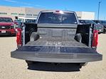 2025 Ford F-150 SuperCrew Cab 4WD Pickup for sale #336596 - photo 10