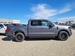 2025 Ford F-150 SuperCrew Cab 4WD Pickup for sale #336596 - photo 3