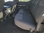 2025 Ford F-150 SuperCrew Cab 4WD Pickup for sale #336624 - photo 7