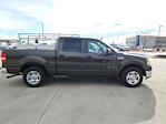 2007 Ford F-150 SuperCrew Cab RWD Pickup for sale #336634A - photo 4