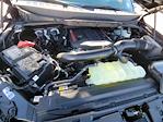 2025 Ford F-150 SuperCrew Cab 4WD Pickup for sale #336671 - photo 15