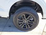 2024 Ford F-150 SuperCrew Cab 4WD Pickup for sale #336733A - photo 16