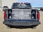 New 2025 Ford F-150 Platinum SuperCrew Cab for sale #336907 - photo 12