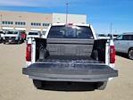 2025 Ford F-150 SuperCrew Cab 4WD Pickup for sale #337133 - photo 10