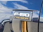 2025 Ford F-150 SuperCrew Cab 4WD Pickup for sale #337194 - photo 12