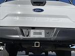 2019 Ford F-150 Regular Cab 4x2 Pickup for sale #11381 - photo 12