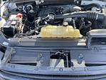 2019 Ford F-150 Regular Cab 4x2 Pickup for sale #11381 - photo 21