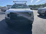 2019 Ford F-150 Regular Cab 4x2 Pickup for sale #11381 - photo 8