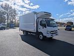 Used 2019 Hino 195 Single Cab Box Truck for sale #11452 - photo 10