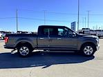 2015 Ford F-150 SuperCrew Cab RWD Pickup for sale #C360039A - photo 6