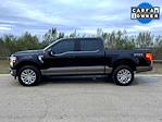 2025 Ford F-150 SuperCrew Cab 4WD Pickup for sale #F250615A - photo 9