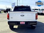 2024 Ford F-150 SuperCrew Cab 4WD Pickup for sale #F251264A - photo 9