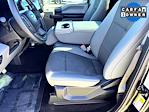 2019 Ford F-150 Regular Cab RWD Pickup for sale #F260077A - photo 14