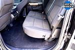 2024 Ford F-150 SuperCrew Cab 4WD Pickup for sale #FP7224 - photo 15