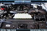 New 2025 Ford F-150 XLT SuperCrew Cab 4WD Pickup for sale #250913 - photo 44