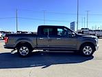 2015 Ford F-150 SuperCrew Cab RWD Pickup for sale #C360039A - photo 6