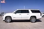 2020 Cadillac Escalade ESV RWD SUV for sale #CA7175 - photo 12