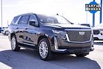 2023 Cadillac Escalade 4WD SUV for sale #FA7445 - photo 5